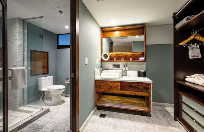 Las Suites Campos Eliseos - Foto 46