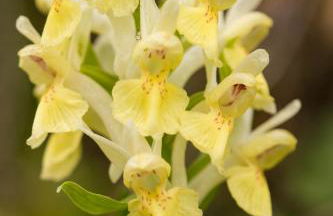 Casale Coccinella - Foto 18