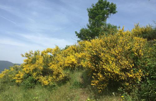 Casa Sperandini - Foto 20