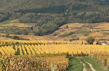 Fleur de Vigne - Foto 40