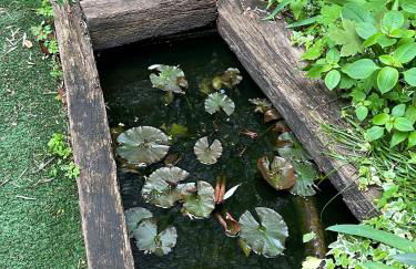 Parisian Garden House 30'Disney, 10'Paris center - Foto 13