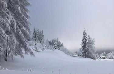 Golfchalet 3 confini - Foto 21