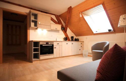 Appartements Gahler - Kurort Oberwiesenthal - Foto 29