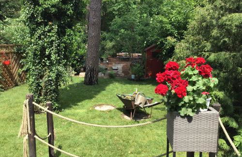 Welsh Dragon - Foto 6