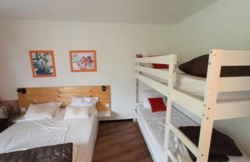 Superbe appartement vue panoramique pied des pistes - Foto 13