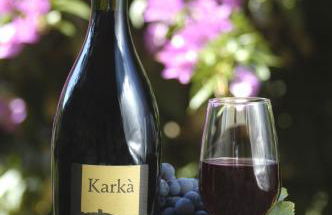 Agriturismo Campesi casale tra le vigne - Photo 57