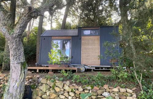 Tiny Clariana by Tiny Away - Foto 1