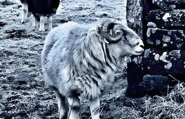 A charming luxury apartment! - Foto 23