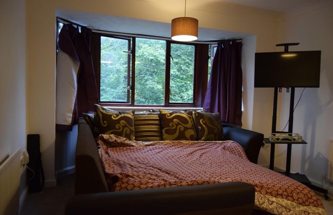 Beautiful 1-bed Apartment in Croydon-free Parking - Foto 8