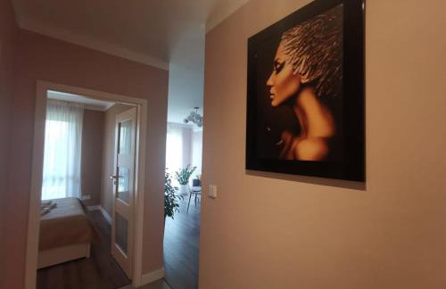 Apartamenty Tychy Kopernika - Foto 10