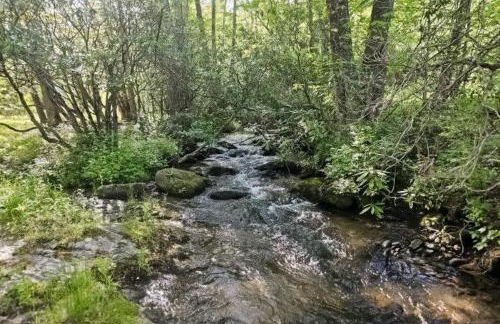 Winona's Retreat - Foto 40