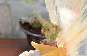 Gemilos Nook - Foto 39