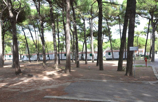 Bungalow in Po Delta Park With Beach Access - Foto 39