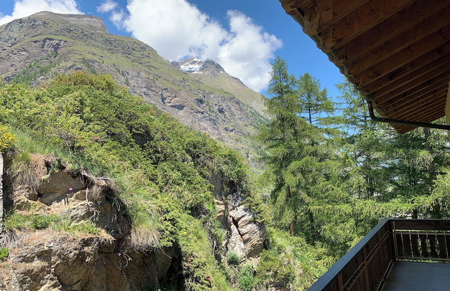Apartments Zermatt Paradies - Foto 41