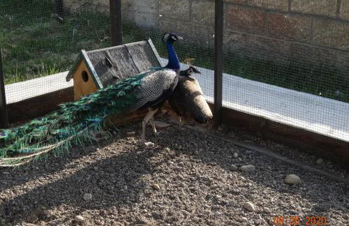 Agriturismo Fieri - Foto 33