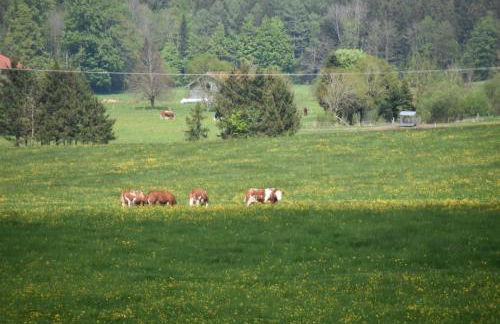 Ferienwohnung beim Hainz - Foto 30