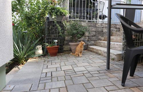 Ferienwohnung Wolff, Kelkheim - Foto 36