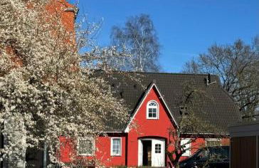 Ostseedomizil "Ankerbuk", Ferienwohnung Kormoran - Foto 1