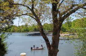 LAKEFRONT Home at Lake Chickamauga! Walk to the Marina! - Foto 37