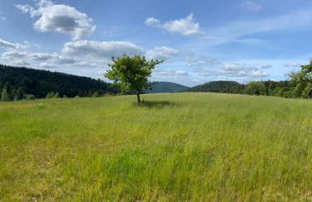 Auszeit Am Wildkatzenpfad - Photo 28