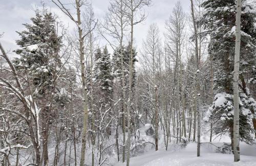 Mountain Haven Sundance Utah - Foto 29