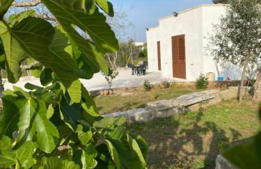 Uliveto Sant' Isidoro - Foto 37