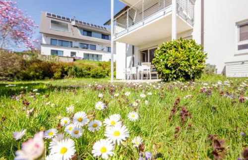 Haubentaucher - Foto 13