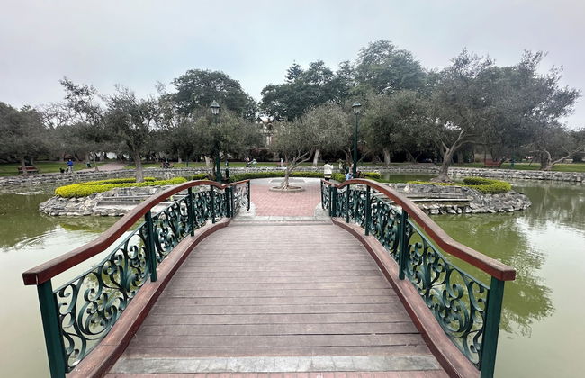 Olivar 1 Bedroom Apartment San Isidro - Foto 14