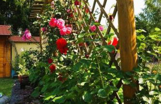 Olszyna Pod Brzozą - Foto 65