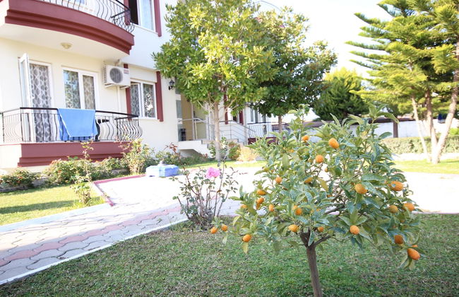 Minta Apart - Foto 38