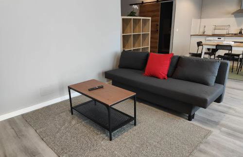 Lar de Yago - Apto Barreiros B - Foto 6