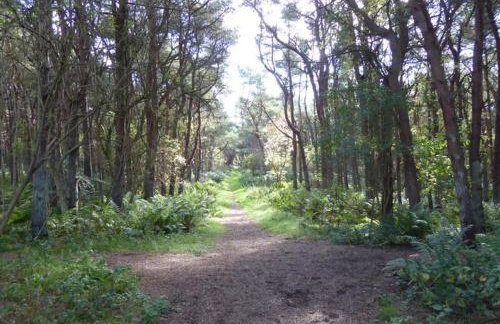 Kinneuchar Cottage - by Elie, Dog Friendly. - Foto 48