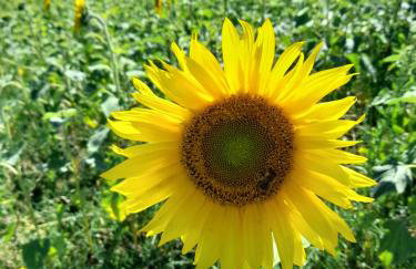 Beautiful Mill House by the sea, Nolton Haven - Foto 72