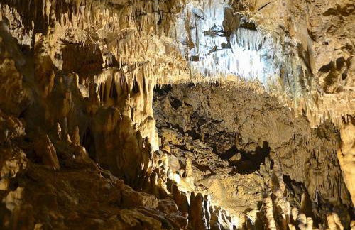 Romantic apartment with garden - Foto 30