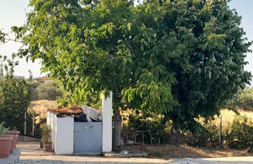 Costa Mama VIlla - Photo 52