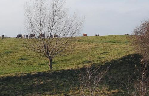 Dom na Warmii -Siedlisko Jabłonka - Foto 60