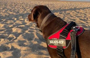 Equestrian Retreat - Sleeps 4 & Bbq - Foto 21