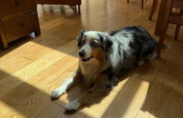 Le Clos Malou cœur de Thomery 3 chambres 1 à 9 pers - Foto 16