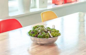 Architektenwohnungen mit Panoramablick bei Köln - Foto 38