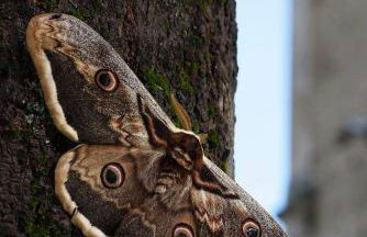 Casa Vacanze sul Gizio - Foto 30