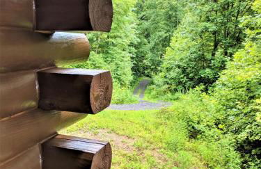 Smokies Overlook Lodge - Foto 65