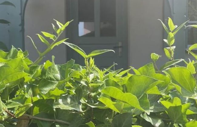 Gezellige Cottage - Foto 33