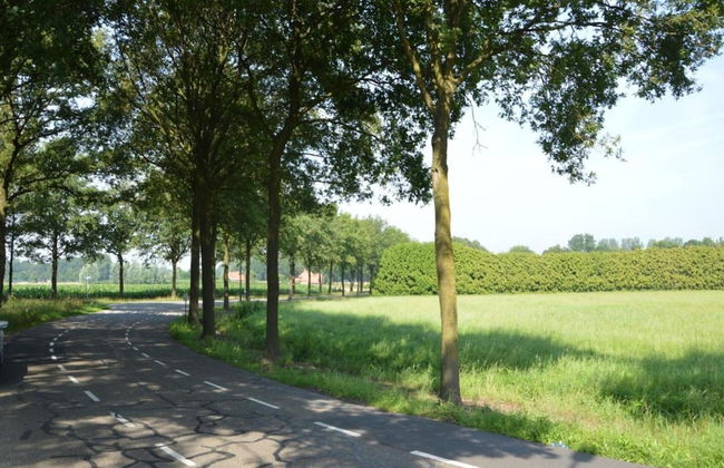 Family Home w/ Trampoline - Foto 37