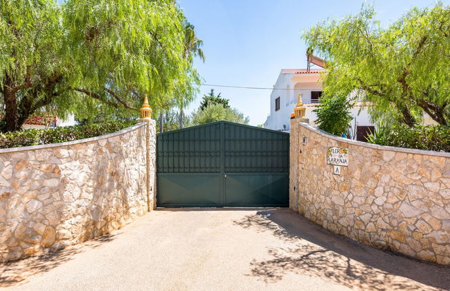 Flor da Laranja - Foto 32