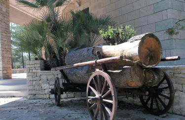 Chez-Antoinette - Foto 15