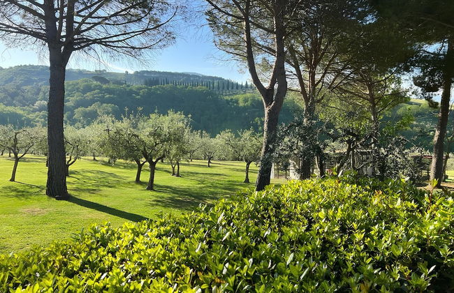 Santa Maria degli Ancillotti - Foto 71