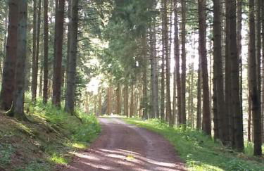 Holzhaus Chalet Nationalpark Eifel Hund willkommen - Foto 26