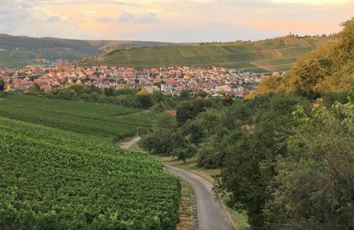 Ferienwohnungen Weinstadt - Foto 23