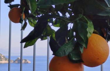 Villa Marunnella - Foto 33