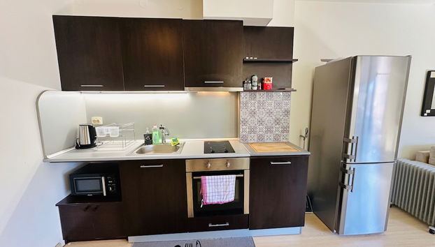 Central Art Apartment in Bansko With Mountain View - Foto 5, Cocina privada